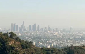 LA pollution